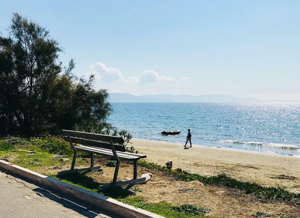 아파트 Holiday Home Arzilli 폴로니카